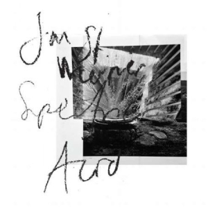 St Werner Jan - Spectric Acid in the group CD / Rock at Bengans Skivbutik AB (2543508)