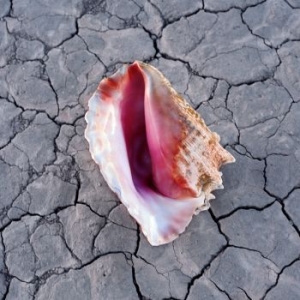 The Killers - Wonderful Wonderful (Softpak) in the group CD / Pop-Rock at Bengans Skivbutik AB (2544161)