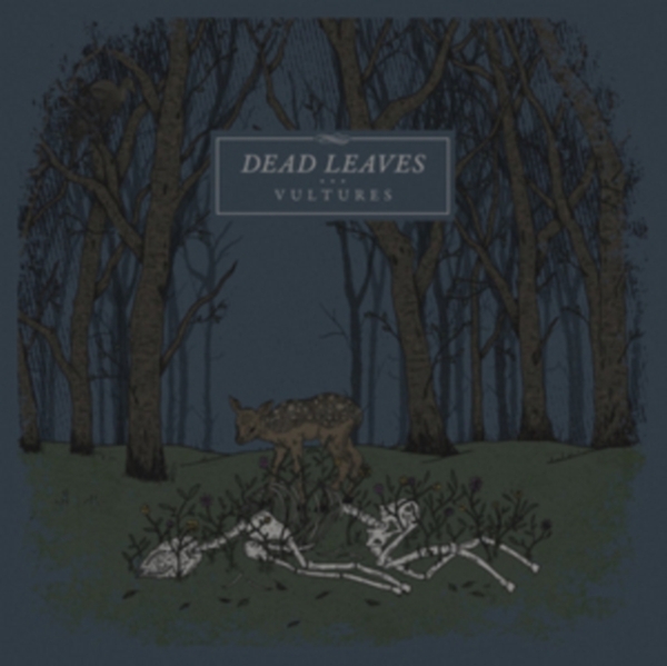 Dead Leaves - Vultures in the group VINYL / Rock at Bengans Skivbutik AB (2545408)