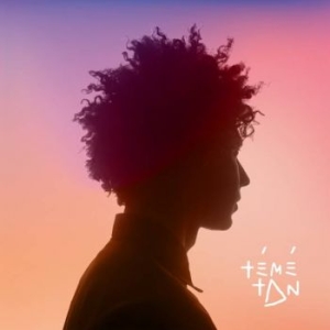 Teme Tan - Teme Tan in the group VINYL / Pop-Rock at Bengans Skivbutik AB (2545617)