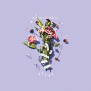 Slingshot Dakota - Break in the group CD / Pop-Rock at Bengans Skivbutik AB (2548905)