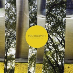 You Blew It! - Keep Doing What You're Doing in the group VINYL / Pop-Rock at Bengans Skivbutik AB (2548944)