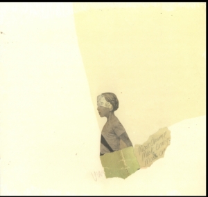 Mock Orange - Put The Kid On The Sleeping Horse in the group VINYL / Pop-Rock at Bengans Skivbutik AB (2549021)