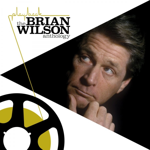 Brian Wilson - Playback: The Brian Wilson Ant in the group CD / Pop at Bengans Skivbutik AB (2549586)