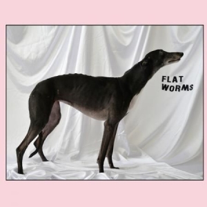 Flat Worms - Flat Worms in the group VINYL / Rock at Bengans Skivbutik AB (2553195)