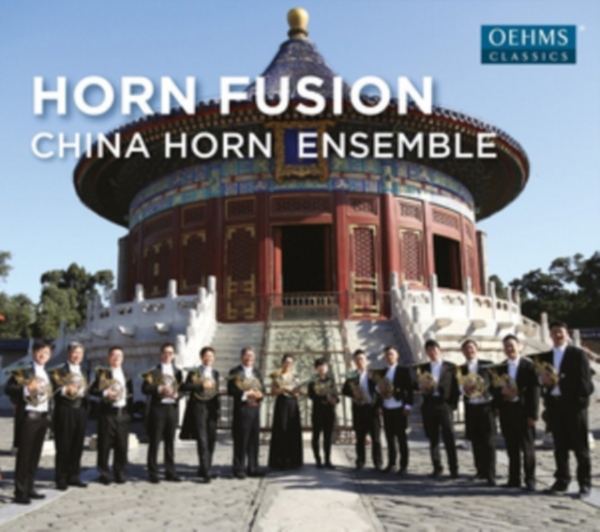 Various - Horn Fusion in the group Externt_Lager / at Bengans Skivbutik AB (2556733)