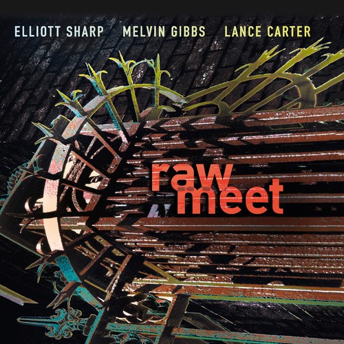 Elliott Sharp Melvin Gibbs Lance - Raw Meet in the group CD / Jazz/Blues at Bengans Skivbutik AB (2557352)