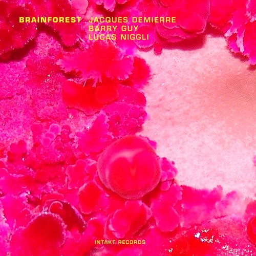 Jacques Demierre Barry Guy Lucas - Brainforest in the group OTHER / Övrigt / at Bengans Skivbutik AB (2557367)