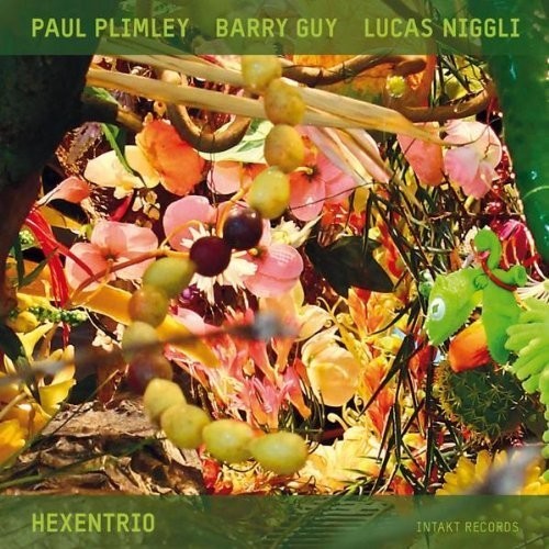 Paul Plimley Barry Guy Lucas Nigg - Hexentrio in the group CD / Jazz/Blues at Bengans Skivbutik AB (2557457)