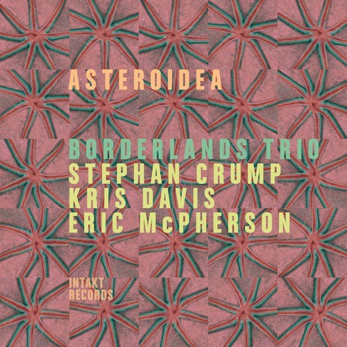 Borderlands Trio - Asteroidea in the group CD / Jazz/Blues at Bengans Skivbutik AB (2557543)
