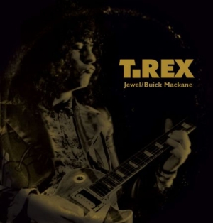 T.Rex - Jewel in the group VINYL / Rock at Bengans Skivbutik AB (2561239)