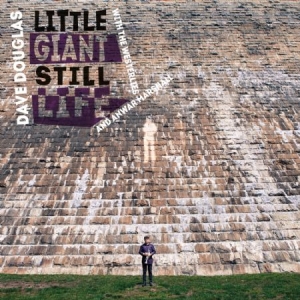 Douglas Dave - Little Giant Still Life in the group CD / Jazz/Blues at Bengans Skivbutik AB (2572355)