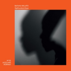 Nhlapo Bafana - Ngikhumbule Kenya in the group CD / Elektroniskt,World Music at Bengans Skivbutik AB (2572364)