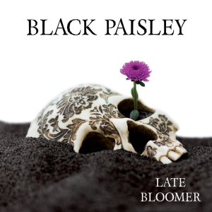 Black Paisley - Late Bloomer in the group VINYL / Hårdrock,Pop-Rock,Svensk Musik at Bengans Skivbutik AB (2618070)