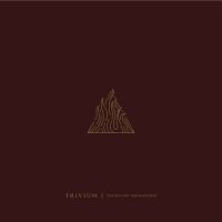 TRIVIUM - THE SIN AND THE SENTENCE in the group CD / Hårdrock at Bengans Skivbutik AB (2618080)