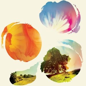 Tycho - Past Is Prologue in the group Minishops / Tycho at Bengans Skivbutik AB (2620507)
