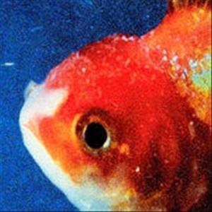 Vince Staples - Big Fish Theory in the group CD / Hip Hop at Bengans Skivbutik AB (2637952)