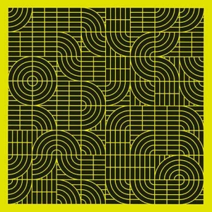 Momus - Pubic Intellectual: An Antholog in the group VINYL / Pop-Rock at Bengans Skivbutik AB (2645512)