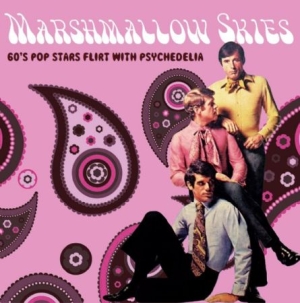Blandade Artister - Marshmallow Skies (60's Pop Stars F in the group CD / Pop at Bengans Skivbutik AB (2674332)