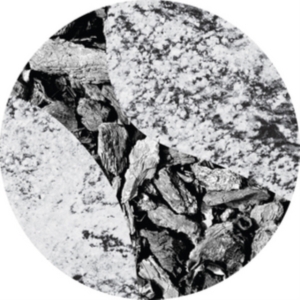 Bonebrokk - Hollow Systems in the group VINYL / Dance-Techno at Bengans Skivbutik AB (2674433)