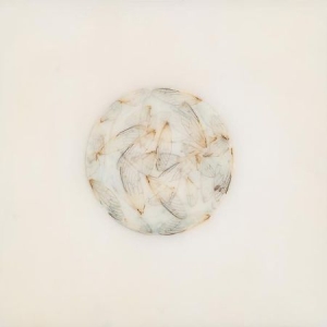 Kestner Lotte - Off White in the group CD at Bengans Skivbutik AB (2714594)