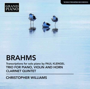 Brahms Johannes - Transcriptions For Solo Piano (By K in the group Externt_Lager /  at Bengans Skivbutik AB (2728299)