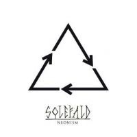 Solefald - Neonism in the group VINYL / Hårdrock at Bengans Skivbutik AB (2788303)