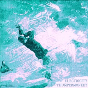 Thumpermonkey - Electricity in the group CD / Rock at Bengans Skivbutik AB (2813489)