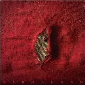 Permahorn - My Blood Carries My Dreams Away in the group CD / Rock at Bengans Skivbutik AB (2851466)