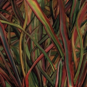 Gengahr - Where Wilderness Grows in the group OUR PICKS / Classic labels / PIAS Recordings at Bengans Skivbutik AB (2851568)