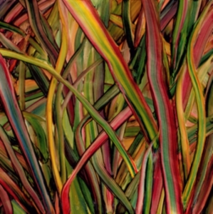 Gengahr - Where Wilderness Grows in the group OUR PICKS / Classic labels / PIAS Recordings at Bengans Skivbutik AB (2851568)