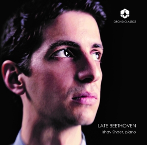 Beethoven Ludwig Van - Late Beethoven in the group CD / Klassiskt at Bengans Skivbutik AB (2870127)