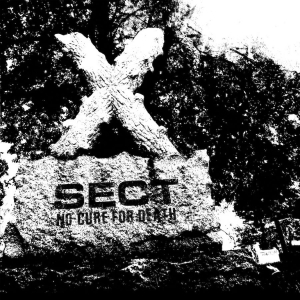 Sect - No Cure For Death in the group VINYL / Pop-Rock at Bengans Skivbutik AB (2887509)