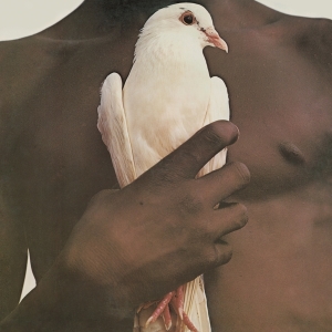 Santana - Greatest Hits (1974) in the group Minishops / Santana at Bengans Skivbutik AB (2896205)