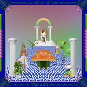 Jonathan Wilson - Rare Birds in the group VINYL / Rock at Bengans Skivbutik AB (3013697)