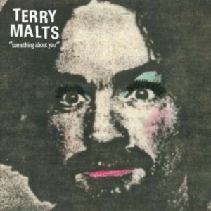Terry Malts - Something About You in the group VINYL / Pop-Rock at Bengans Skivbutik AB (3013823)