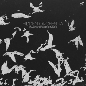 Hidden Orchestra - Dawn Chorus Remixes in the group VINYL / Dans/Techno at Bengans Skivbutik AB (3015836)