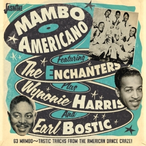 Various - Mambo Americano in the group CD / Pop-Rock at Bengans Skivbutik AB (3034385)