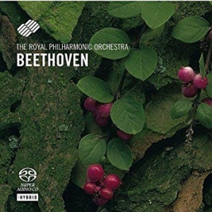 Royal Philharmonic Orchestra/Harbig - Beethoven: Sinfonie 2 & 8 in the group MUSIK / SACD / Pop at Bengans Skivbutik AB (3042503)
