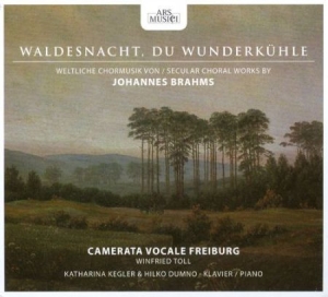 Camerata Vocale Freiburg/Toll - Brahms: Waldesnacht in the group CD / Pop at Bengans Skivbutik AB (3042971)