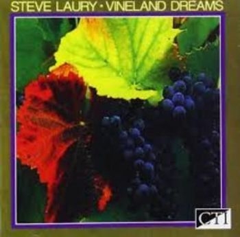 Laury Steve - Vineland Dreams in the group CD / Jazz/Blues at Bengans Skivbutik AB (3043499)