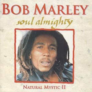 Bob Marley - Natural Mystic in the group OTHER / Övrigt /  at Bengans Skivbutik AB (3043652)