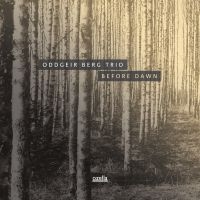 Berg Oddgeir (Trio) - Before Dawn in the group CD / Jazz at Bengans Skivbutik AB (3045759)