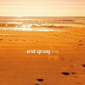 Sprung Arnd (Trio) - Imaginary Songs in the group CD / Jazz/Blues at Bengans Skivbutik AB (3049826)