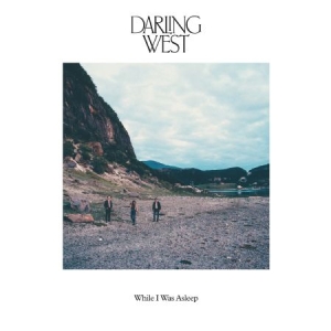 Darling West - While I Was Asleep in the group VINYL / Country at Bengans Skivbutik AB (3075200)