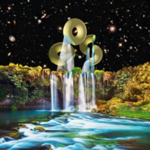 Orchestra Of Spheres - Vibration Animal Sex Brain Music in the group CD / Pop-Rock at Bengans Skivbutik AB (3083005)