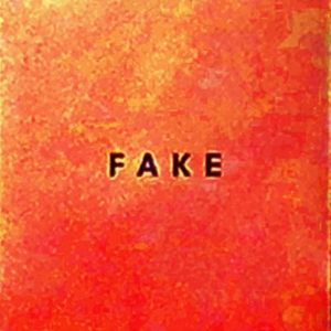Die Nerven - Fake in the group CD / Pop-Rock at Bengans Skivbutik AB (3083036)