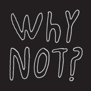 Half Japanese - Why Not? in the group VINYL / Pop-Rock at Bengans Skivbutik AB (3083637)