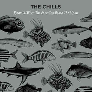 Chills - Pyramid in the group VINYL / Rock at Bengans Skivbutik AB (3096912)