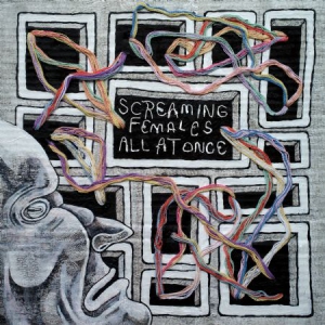 Screaming Females - All At Once in the group CD / Pop-Rock at Bengans Skivbutik AB (3110090)